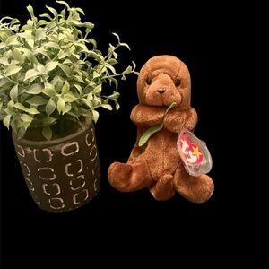 Ty Beanie Baby Babies Seaweed The Otter With MWMT's Tags and Errors